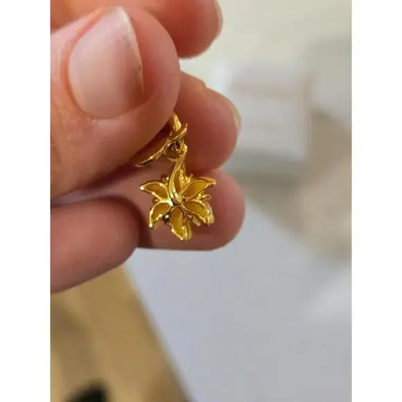 Pandora Disney Parks Gold and Yellow Charm
Not authentic - Picture 3 of 5
